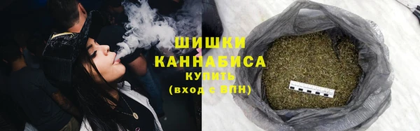 не бодяженный Горно-Алтайск