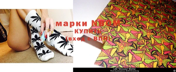 не бодяженный Горно-Алтайск