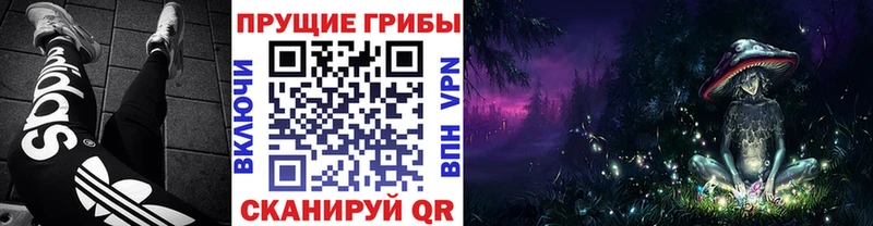 мега ССЫЛКА  Дюртюли  Галлюциногенные грибы Psilocybine cubensis  магазин  наркотиков 
